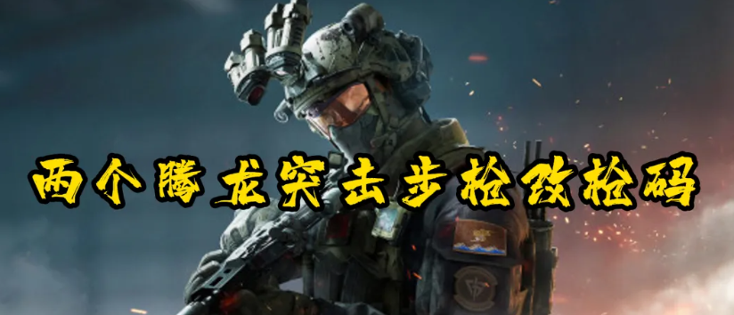 腾龙改枪码